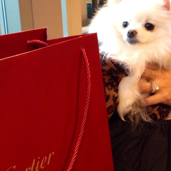 Meet your Posher, Arabella - Picture 8 of 8